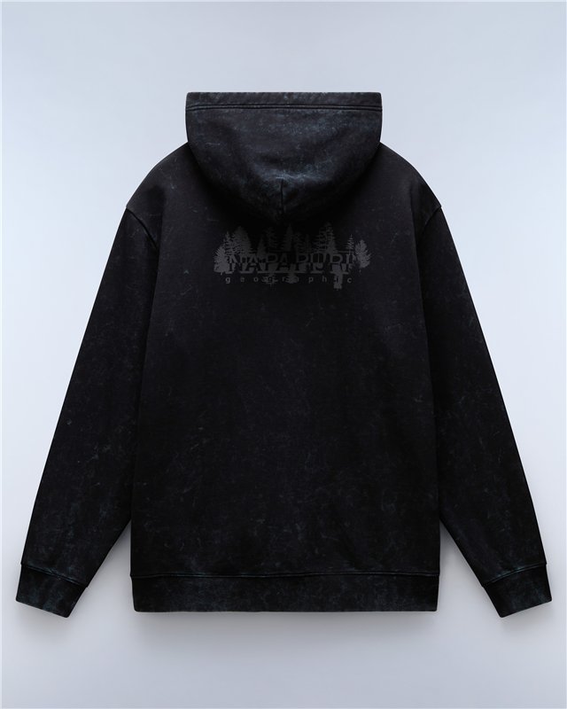 Argient Hoodie