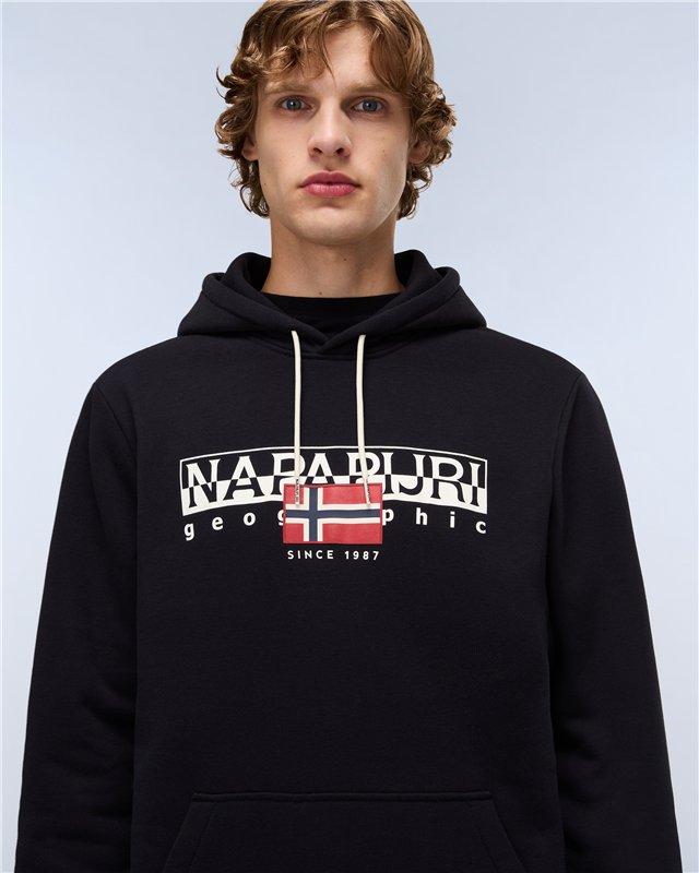 Aylmer Winter Hoodie