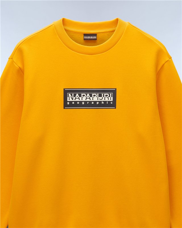 Box Logo Sweatshirt