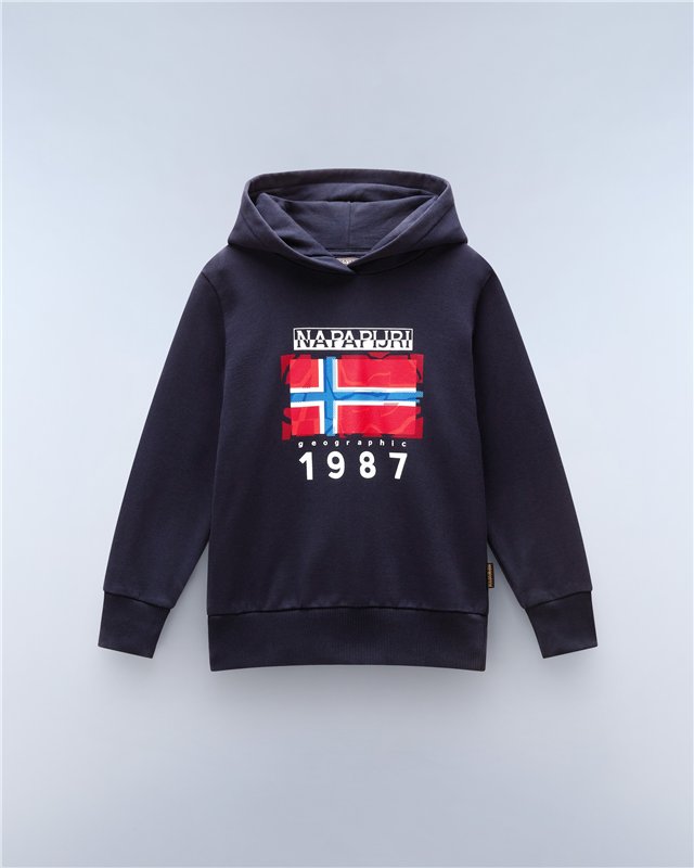 Mats Hoodie