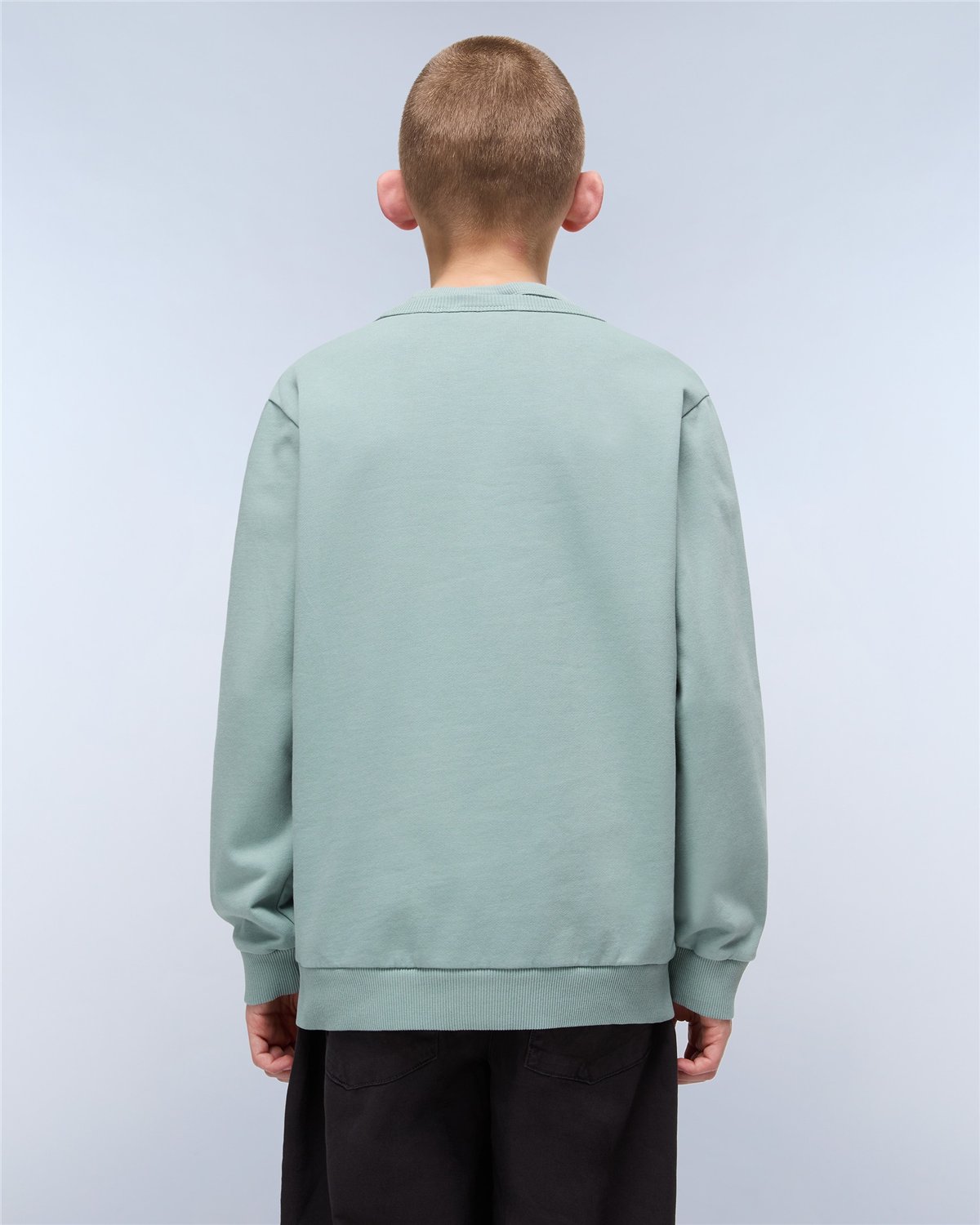 Chamois Sweatshirt
