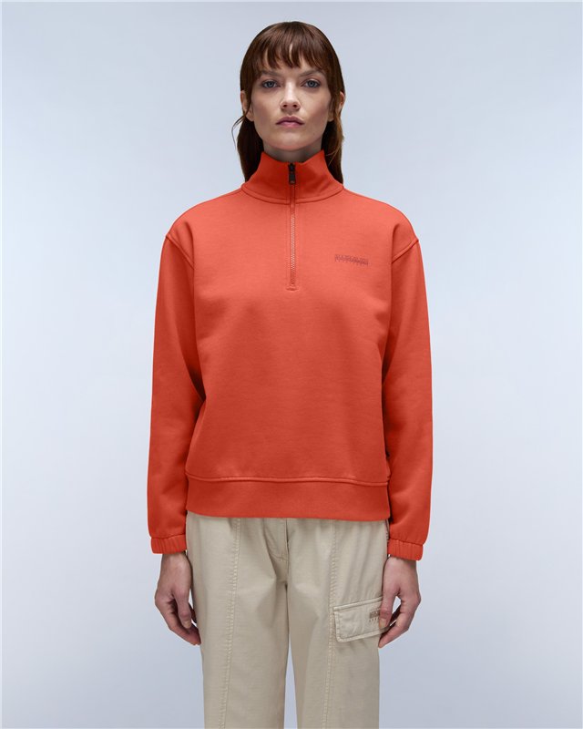 Bise Half-Zip Sweatshirt