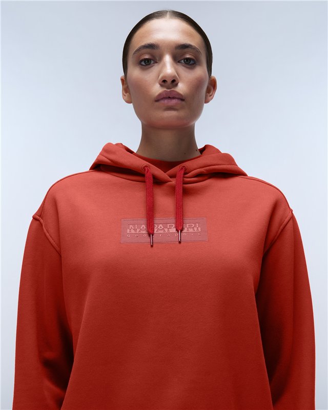 Box Logo Hoodie