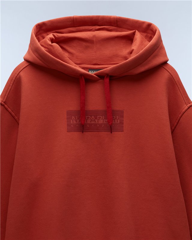 Box Logo Hoodie