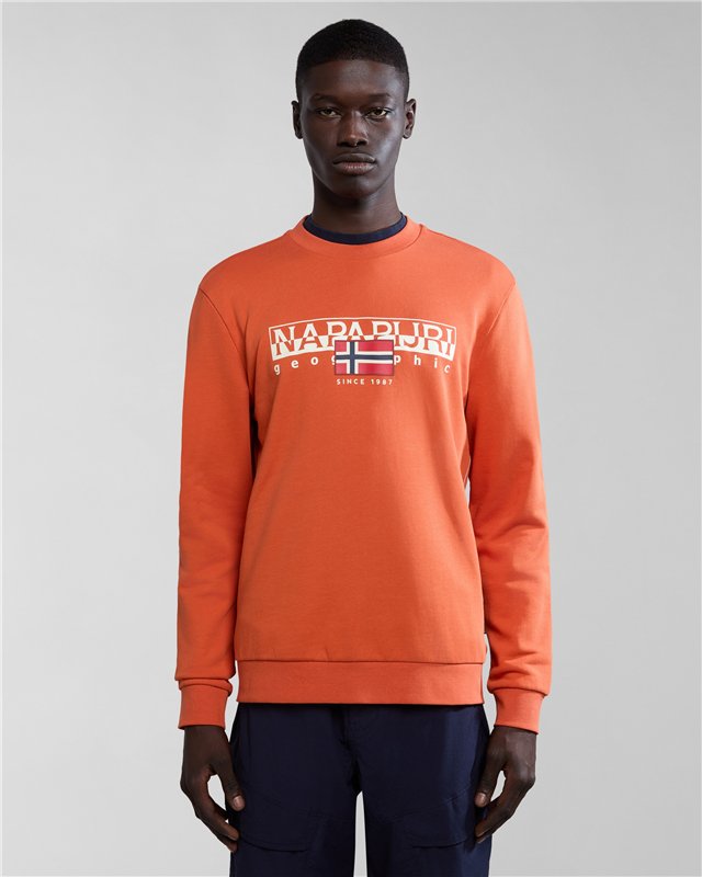 Aylmer Sweatshirt