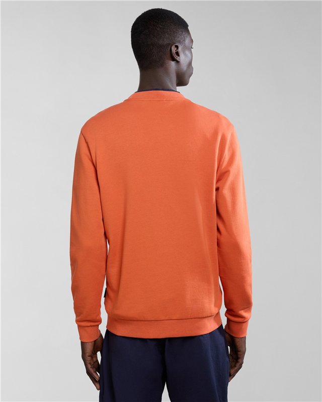 Aylmer Sweatshirt