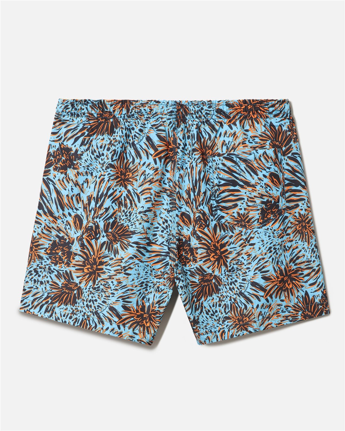 Swimming Trunks Vail