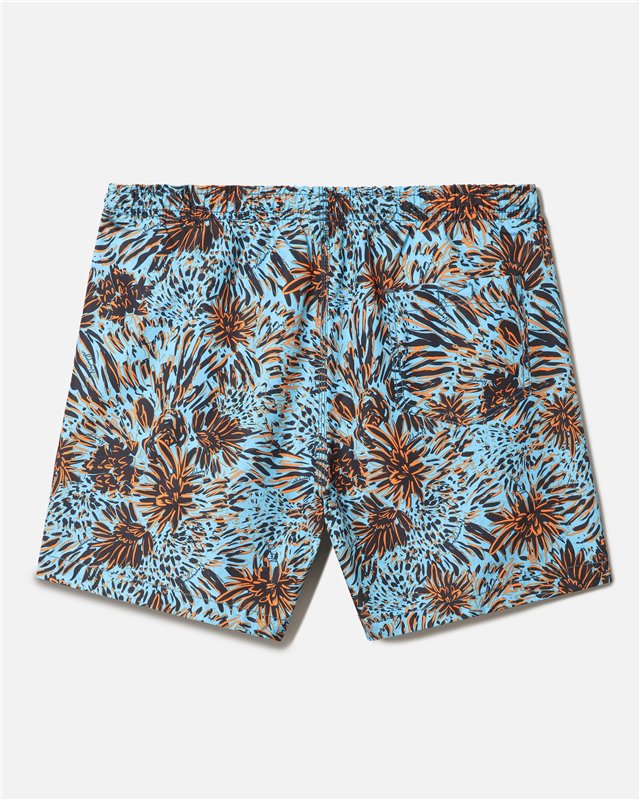 Swimming Trunks Vail
