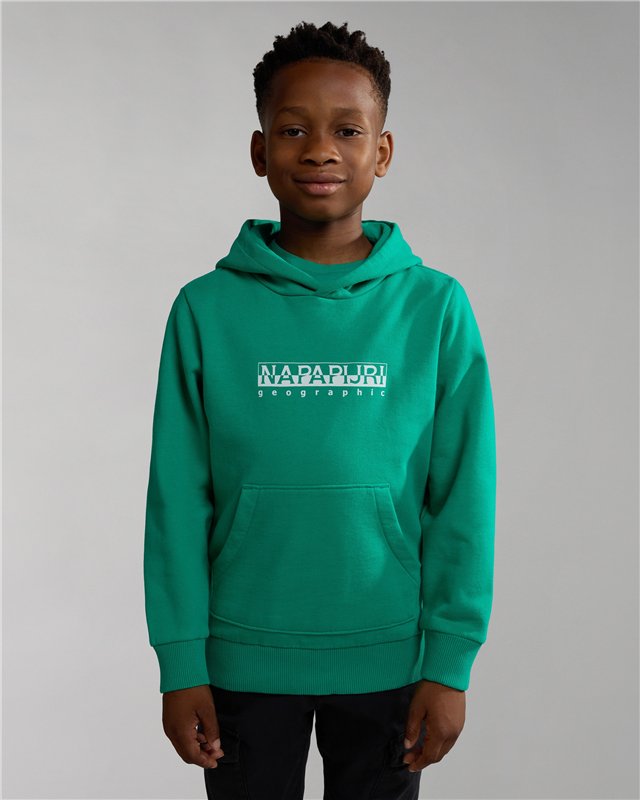 Box Hoodie Sweatshirt