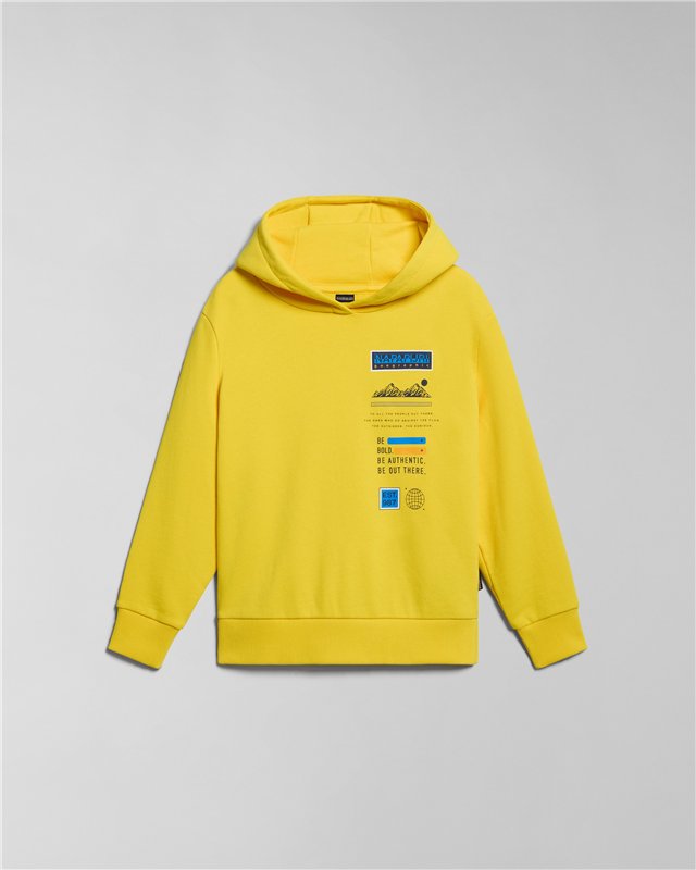 Liard Hoodie
