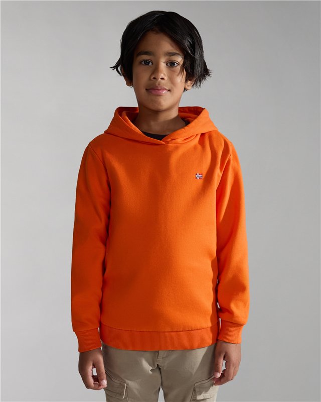 Balis Hoodie Sweatshirt